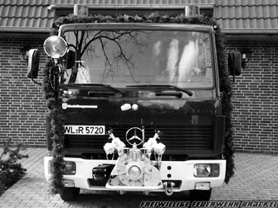 Entwicklung